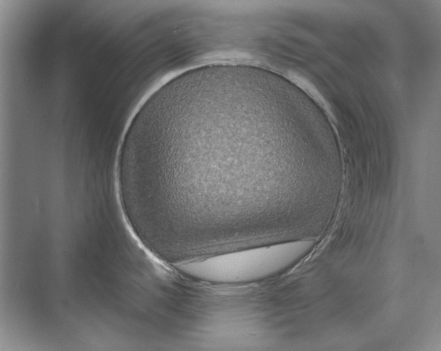 X0000070211440200606091613