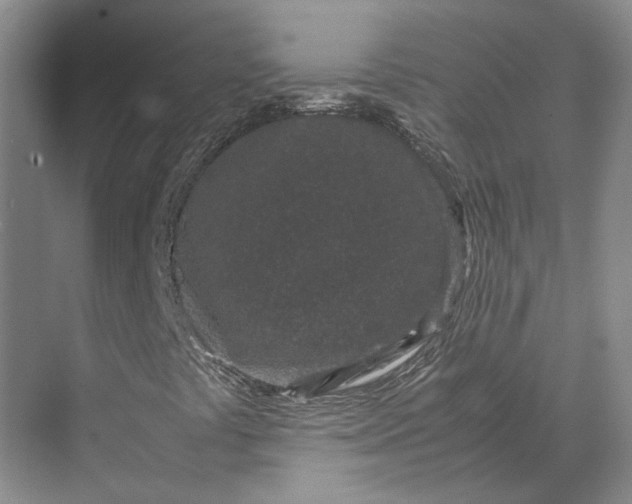 X0000070211441200606091612