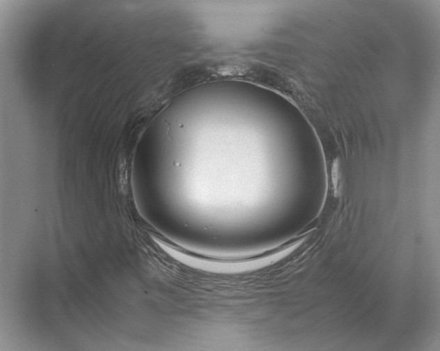 X0000070211443200606091612