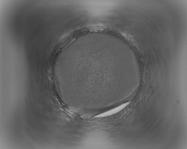 X0000070211445200606091612