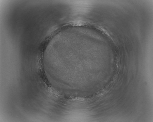 X0000070211446200606091612