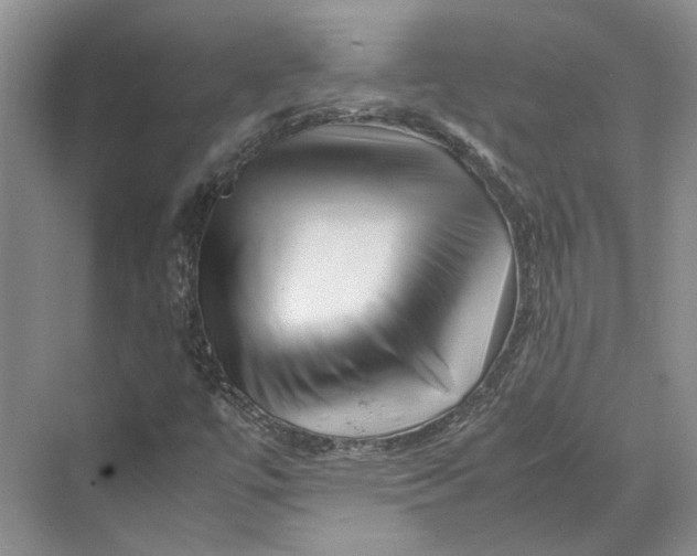 X0000070211447200606091612