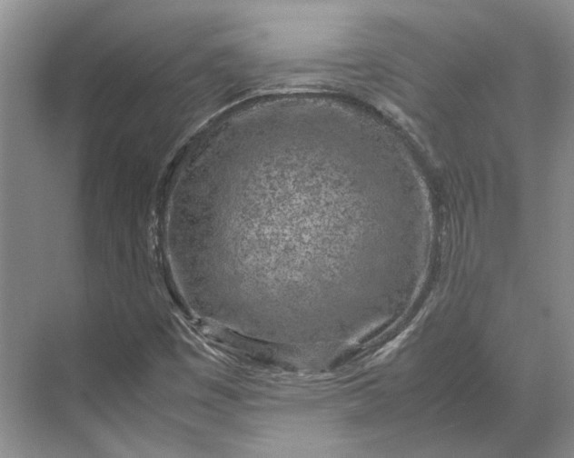 X0000070211449200606091612