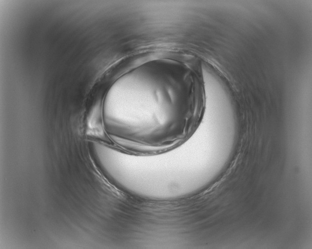 X0000070211450200606091612