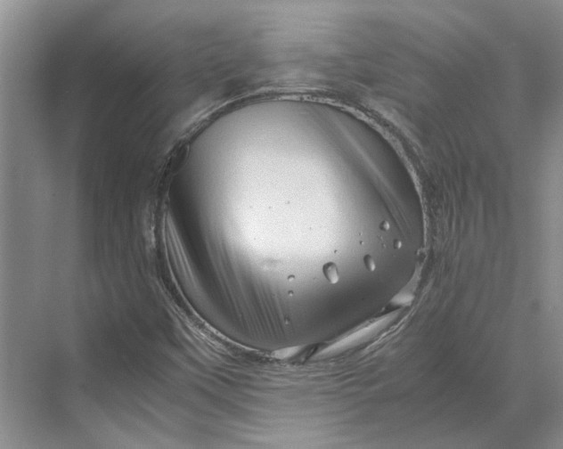 X0000070211451200606091612