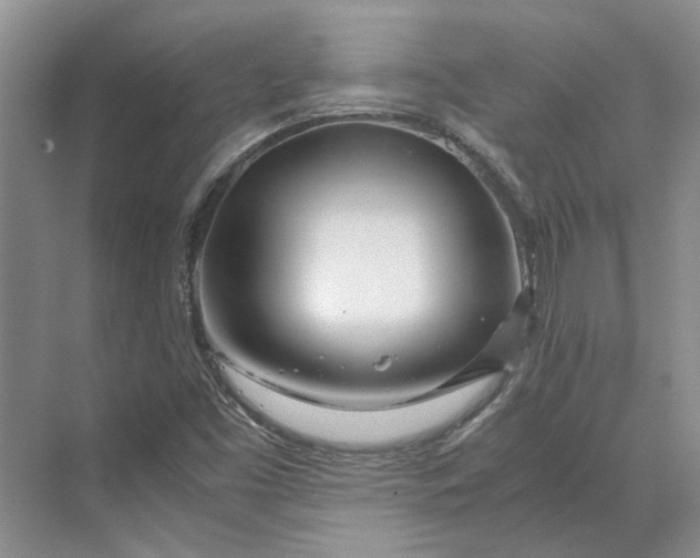 X0000070211453200606091612