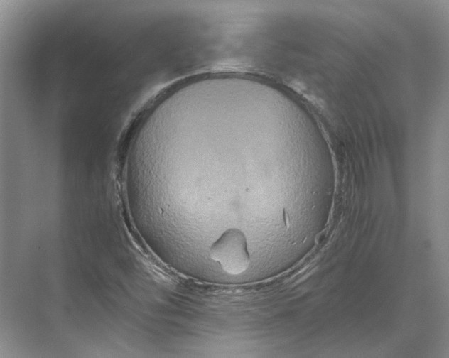 X0000070211454200606091612