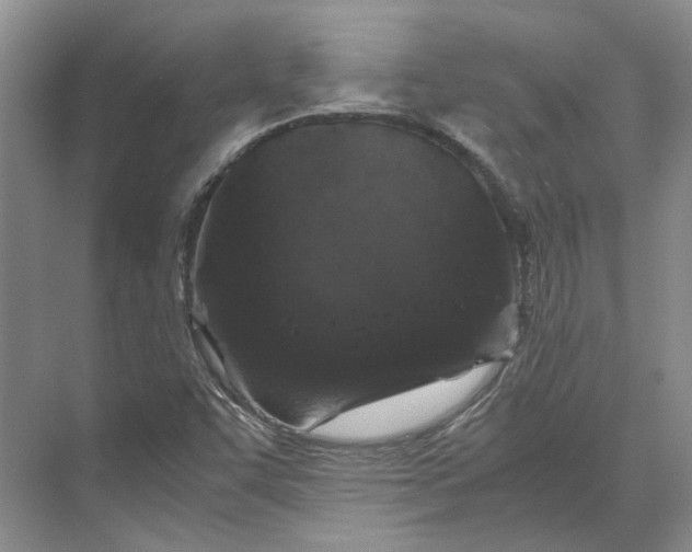 X0000070211455200606091612