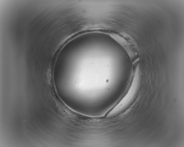 X0000070211457200606091612