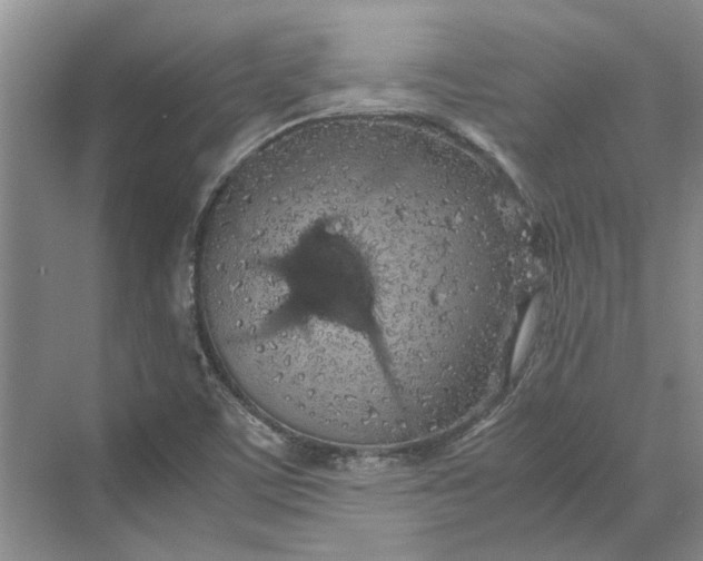 X0000070211459200606091612