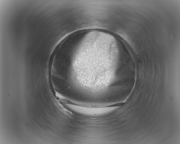 X0000070211460200606091612