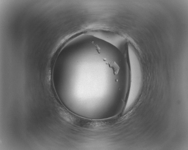 X0000070211461200606091612