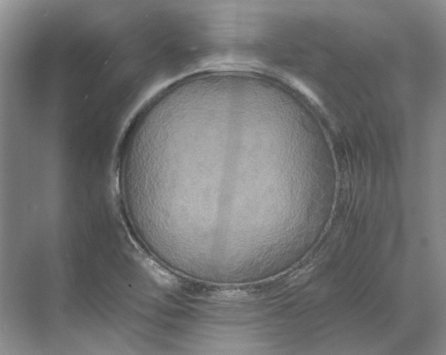 X0000070211462200606091612