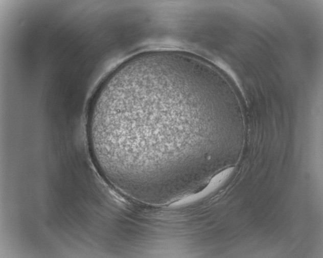 X0000070211464200606091612