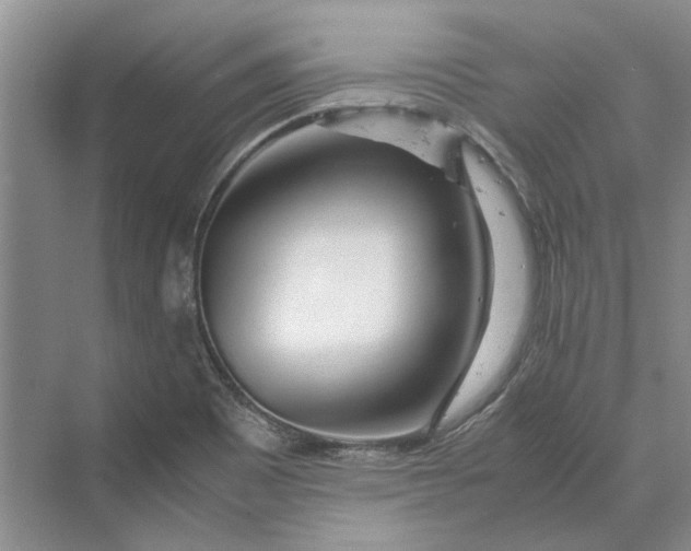 X0000070211465200606091612