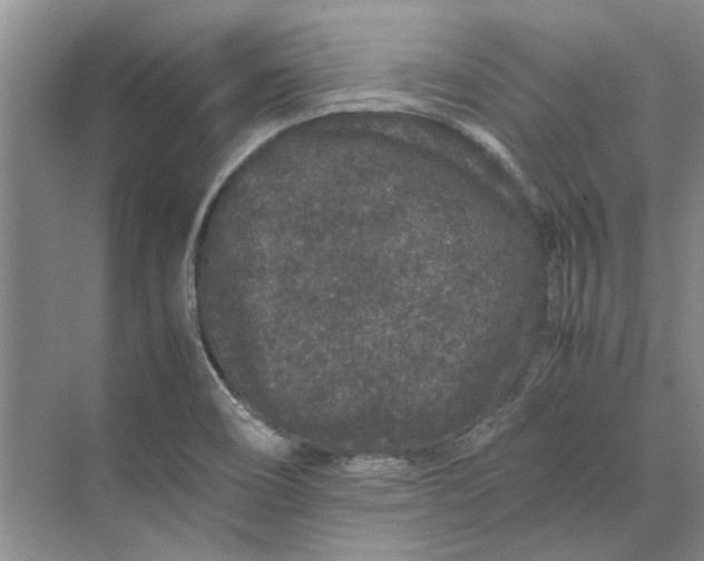 X0000070211466200606091612