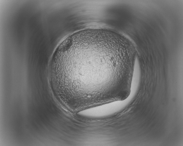 X0000070211467200606091612