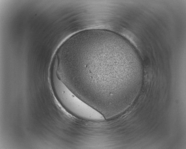 X0000070211468200606091612