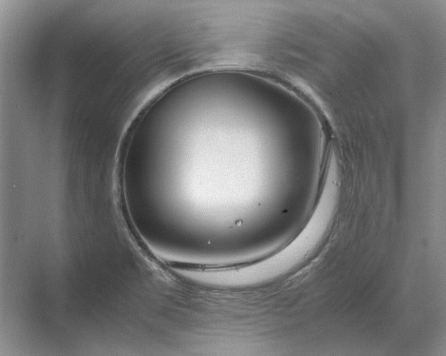 X0000070211469200606091612