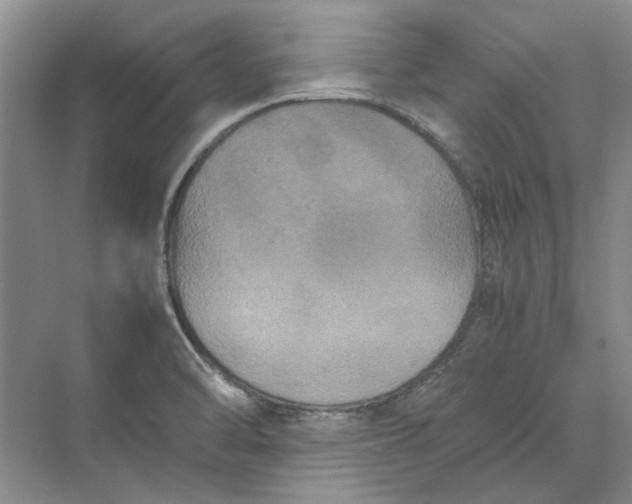 X0000070211470200606091612