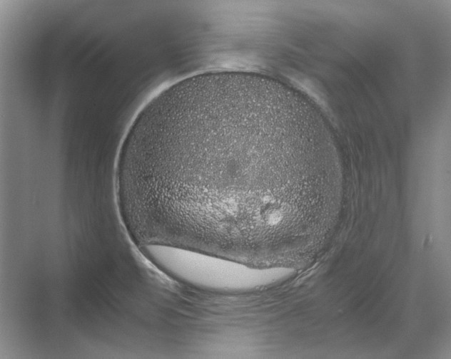 X0000070211471200606091612