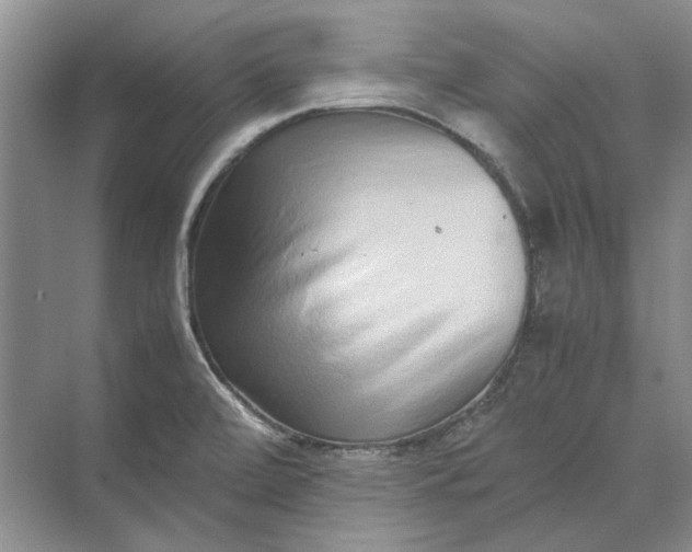 X0000070211472200606091612