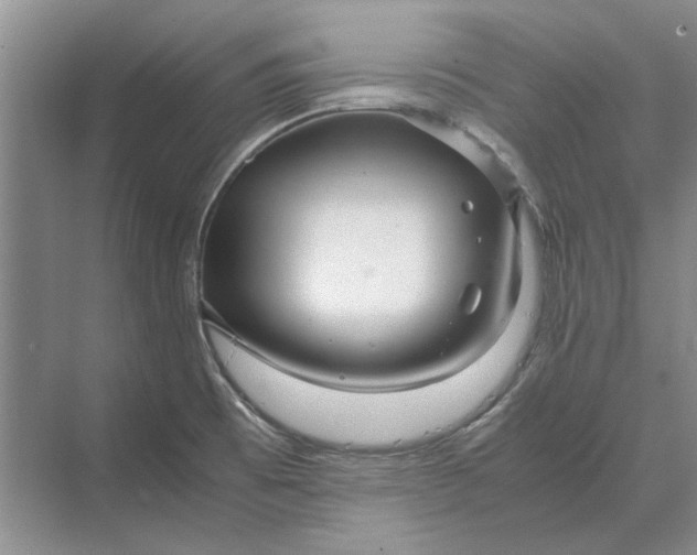 X0000070211473200606091611