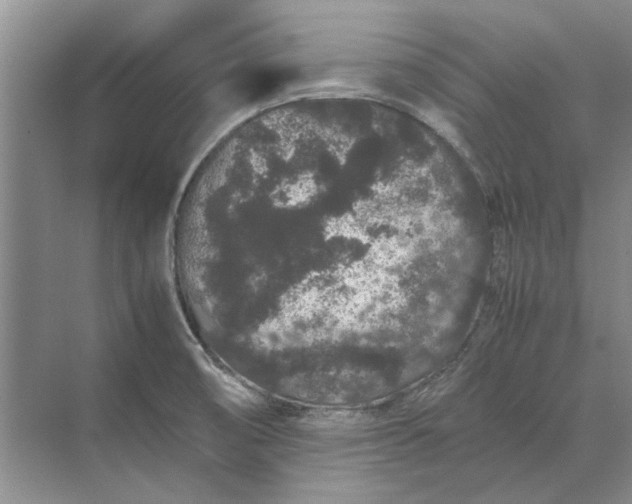 X0000070211474200606091611