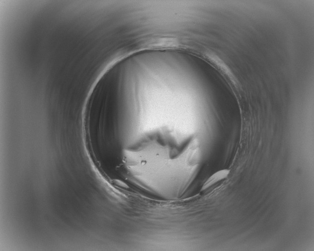 X0000070211475200606091611