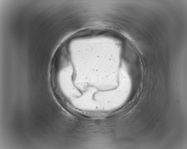 X0000070211477200606091611