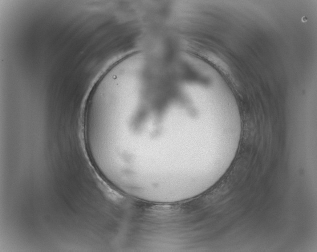 X0000070211478200606091611