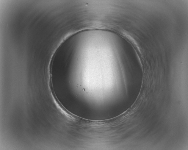 X0000070211479200606091611