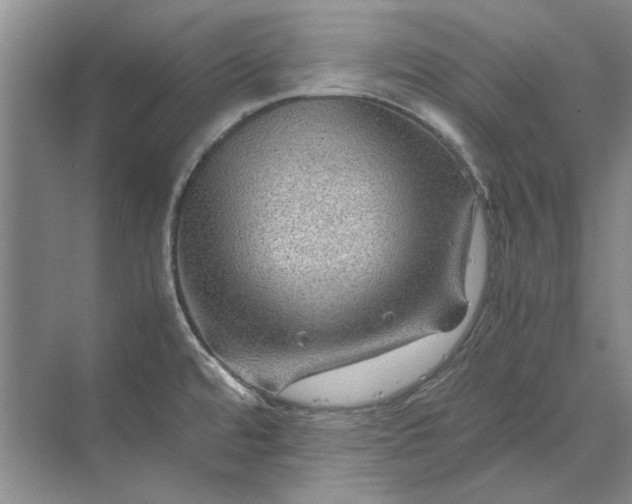 X0000070211480200606091611