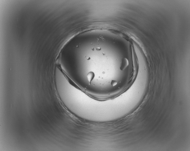 X0000070211481200606091611