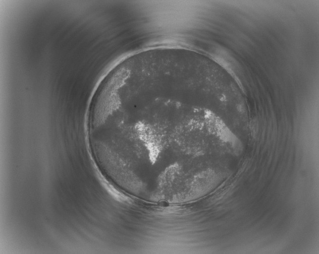 X0000070211482200606091611