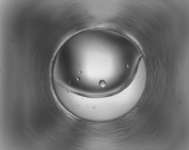 X0000070211483200606091611