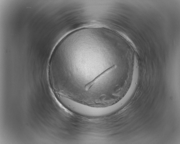 X0000070211484200606091611