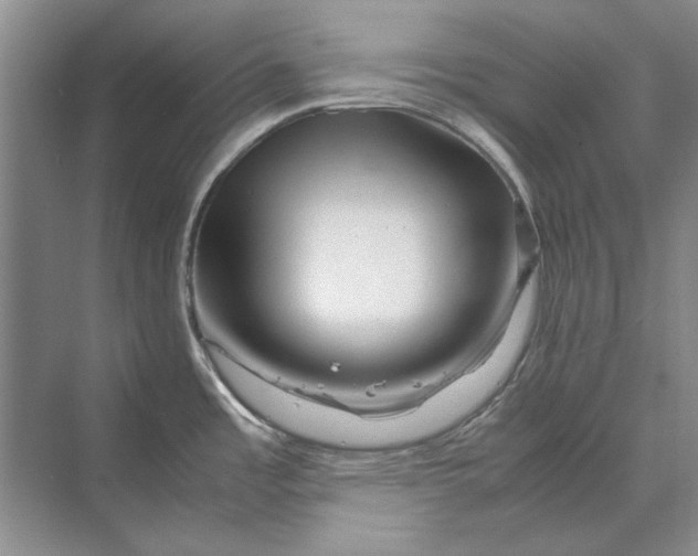 X0000070211485200606091611