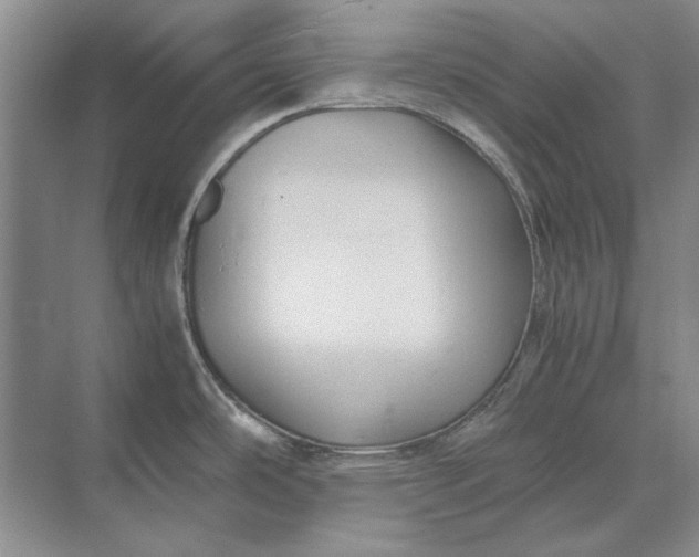 X0000070211486200606091611