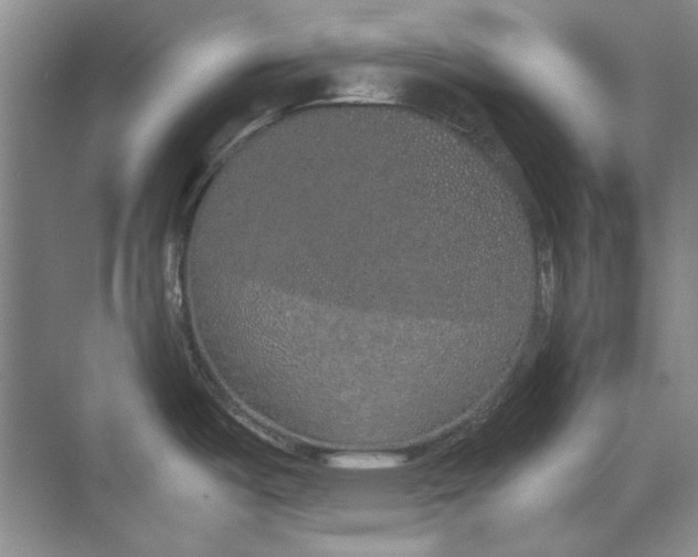 X0000070211487200606091611