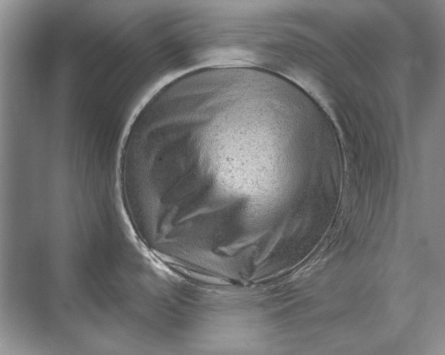 X0000070211488200606091611