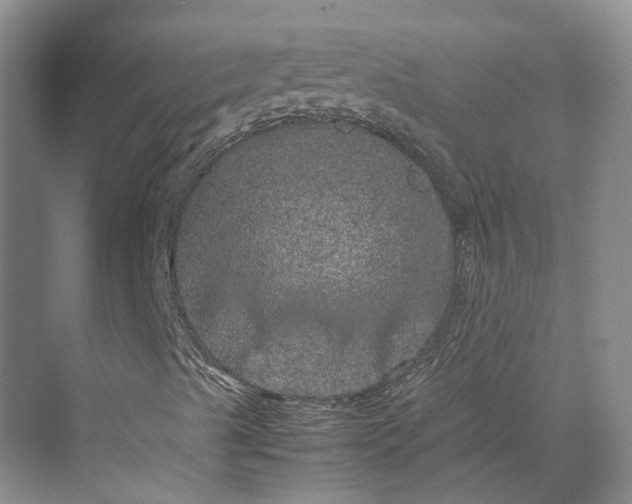 X0000070211489200606091610