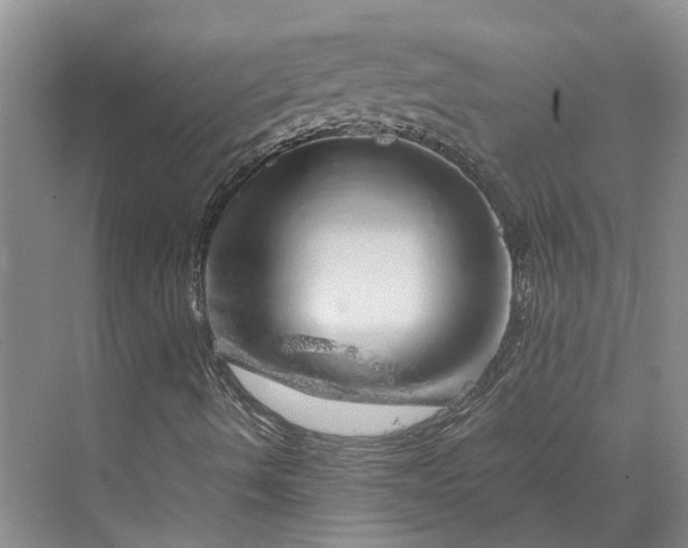 X0000070211490200606091610