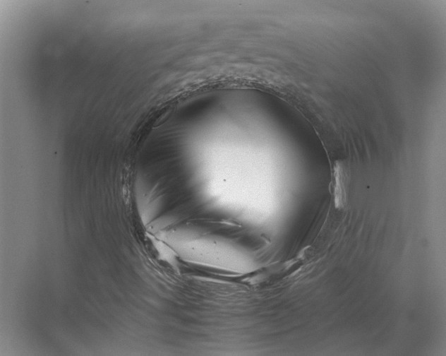 X0000070211491200606091610