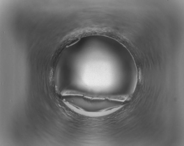 X0000070211492200606091610