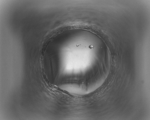 X0000070211493200606091610