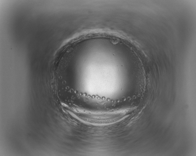 X0000070211494200606091611