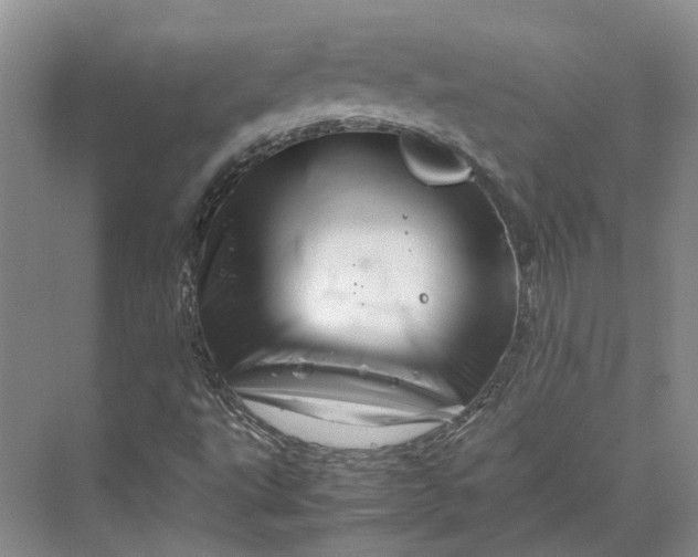 X0000070211495200606091611