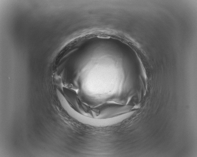 X0000070211496200606091611