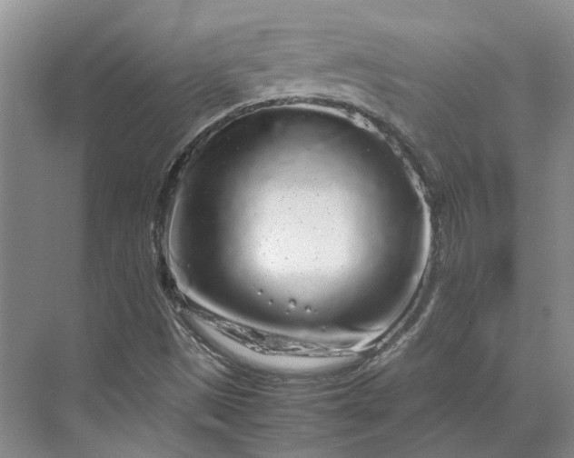 X0000070211497200606091611